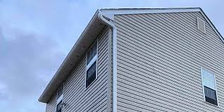 Best Historical Building Siding Restoration  in Oquawka, IL